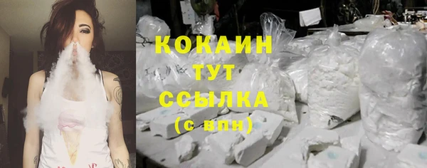 spice Алексин