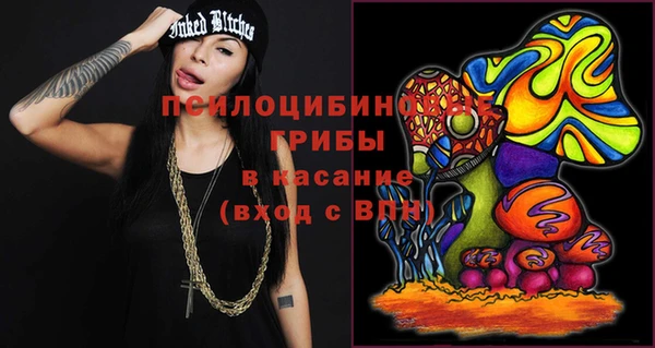 spice Алексин