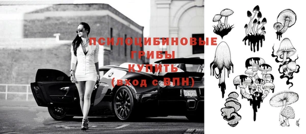не бодяженный Алзамай