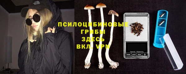 дурь Алексеевка