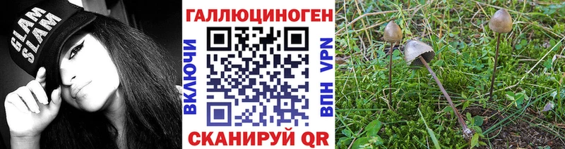 где найти   hydra ссылка  Псилоцибиновые грибы Psilocybe  Когалым 
